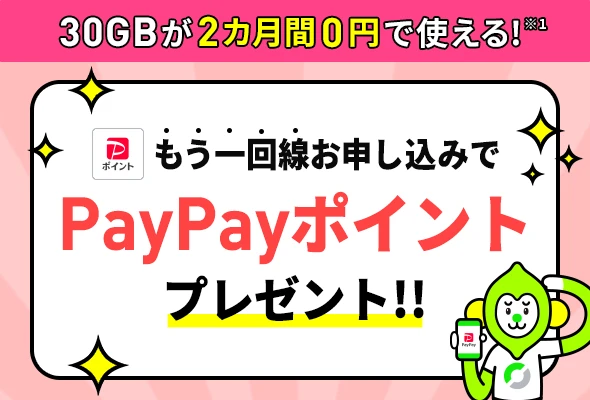 LINEMO契約者がもう1回線契約することで、新規電話番号・他社から乗り換えで6,000円相当のPayPayポイントをプレゼント。